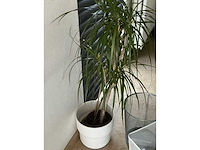 Various office inventory - afbeelding 78 van  90