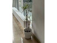 Various office inventory - afbeelding 89 van  90