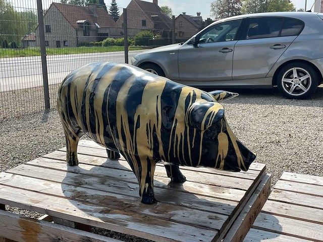 Varken staand h50cm x l100cm black trash gold - afbeelding 2 van  3