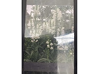 Vaste planten - physostegia (60x) - afbeelding 2 van  3