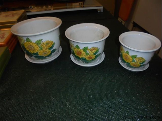 Vazen - afbeelding 1 van  2