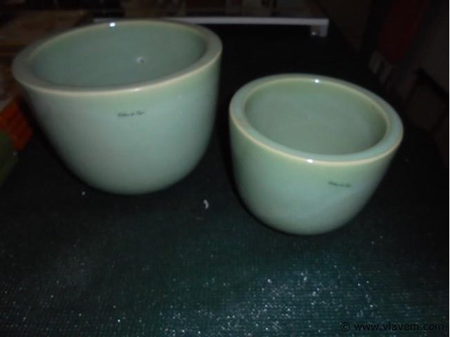 Vazen - afbeelding 1 van  2