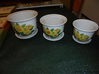 Vazen - afbeelding 1 van  2