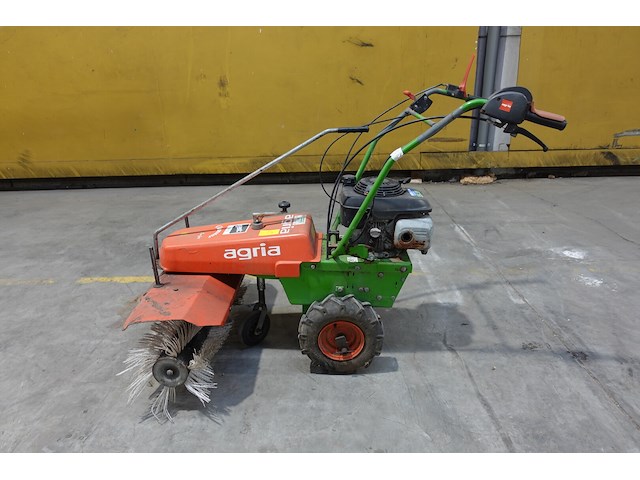 Veegborstel agria - afbeelding 1 van  8