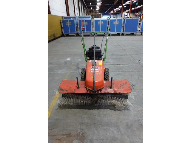 Veegborstel agria - afbeelding 2 van  8