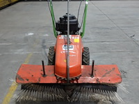 Veegborstel agria - afbeelding 2 van  8