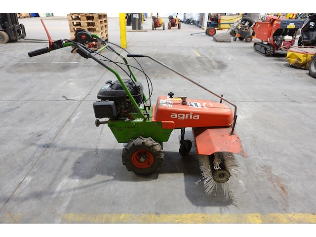 Veegborstel agria - afbeelding 3 van  8