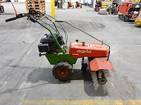 Veegborstel agria - afbeelding 3 van  8