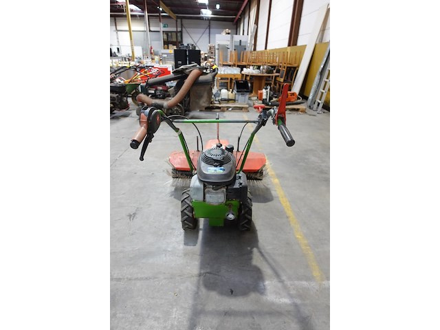 Veegborstel agria - afbeelding 4 van  8