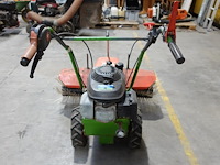 Veegborstel agria - afbeelding 4 van  8