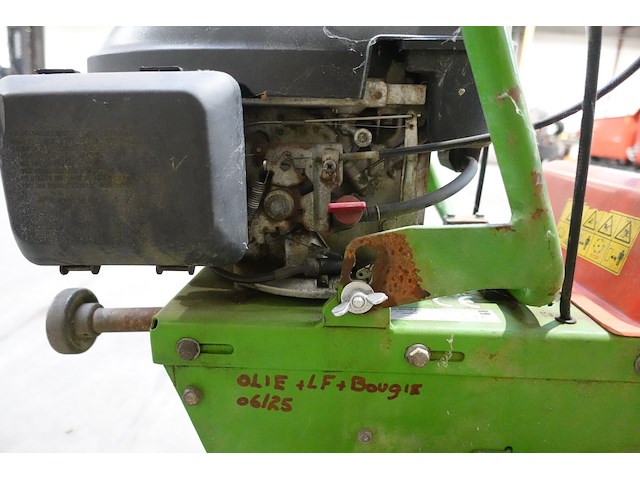 Veegborstel agria - afbeelding 5 van  8