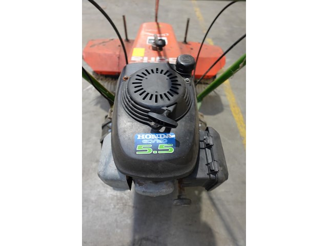 Veegborstel agria - afbeelding 6 van  8