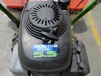 Veegborstel agria - afbeelding 6 van  8