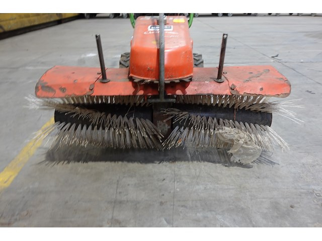 Veegborstel agria - afbeelding 7 van  8