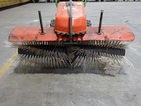 Veegborstel agria - afbeelding 7 van  8