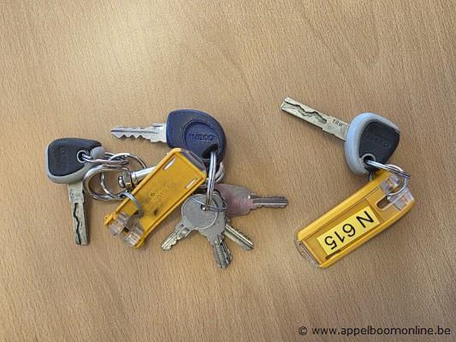 Veegwagen iveco ad440t/p, datum 1ste inschrijving 11/12/2013, km-stand laatste keuring 29/10/2026 96.673, euro eev - afbeelding 8 van  16