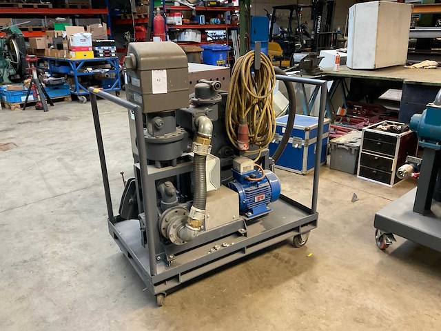 Veerden-root pompunit - afbeelding 1 van  9