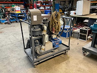 Veerden-root pompunit - afbeelding 1 van  9