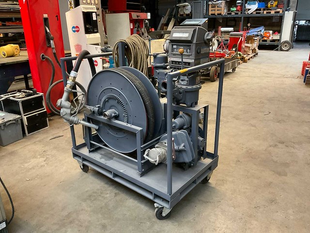 Veerden-root pompunit - afbeelding 2 van  9