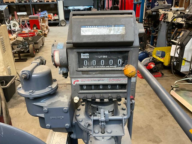 Veerden-root pompunit - afbeelding 3 van  9