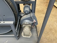 Veerden-root pompunit - afbeelding 4 van  9