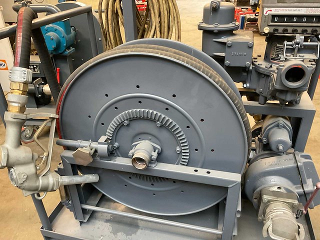 Veerden-root pompunit - afbeelding 5 van  9