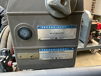 Veerden-root pompunit - afbeelding 6 van  9