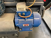 Veerden-root pompunit - afbeelding 7 van  9