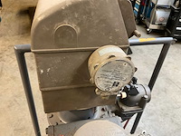 Veerden-root pompunit - afbeelding 8 van  9