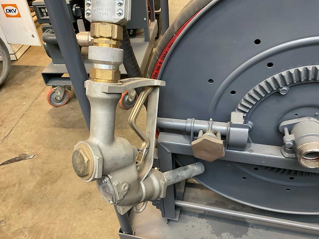 Veerden-root pompunit - afbeelding 9 van  9