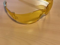 Veiligheidsbrillen 100st
