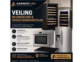 Veiling wijnkoelers en div keukentoestellen: topmerken als küpperbusch - fhiaba - avintage - fisher&paykel - liebherr en anderen