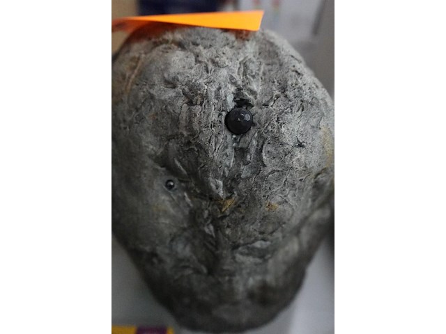 Verborgen camera rots - afbeelding 2 van  4