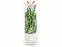 Veritable - glazen kruidenbewaarder (30x) - afbeelding 1 van  3