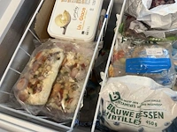 Verrijdbare diepvrieskist friac - afbeelding 5 van  8