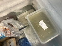 Verrijdbare diepvrieskist friac - afbeelding 8 van  8