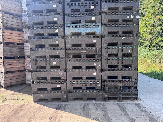 Version v kunststof palletbox (56x) - afbeelding 1 van  11