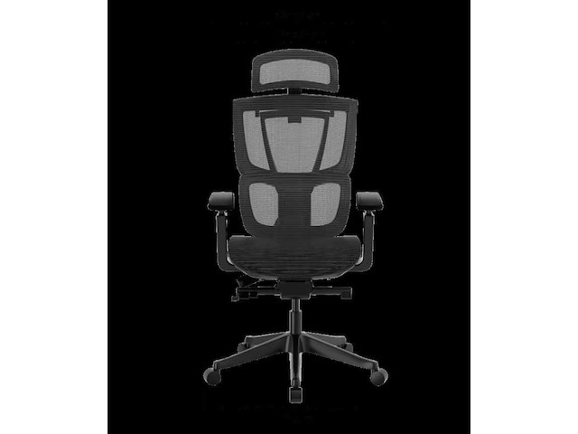 Verstelbare ergonomische stoel met gespleten lendensteun - afbeelding 3 van  13