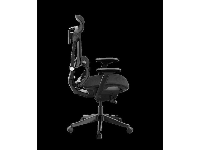 Verstelbare ergonomische stoel met gespleten lendensteun - afbeelding 12 van  13