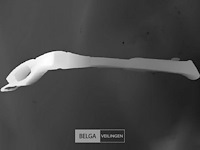 Verstelbare fietsstandaard zwart - afbeelding 2 van  3