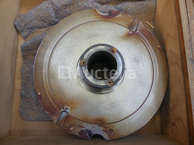 Vertongen tenoner - afbeelding 9 van  18