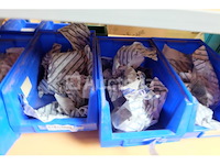 Verwarmingstechnicus accessoireset - afbeelding 20 van  51