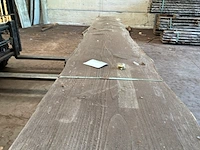 Verzaagde boomstam douglas - afbeelding 6 van  7