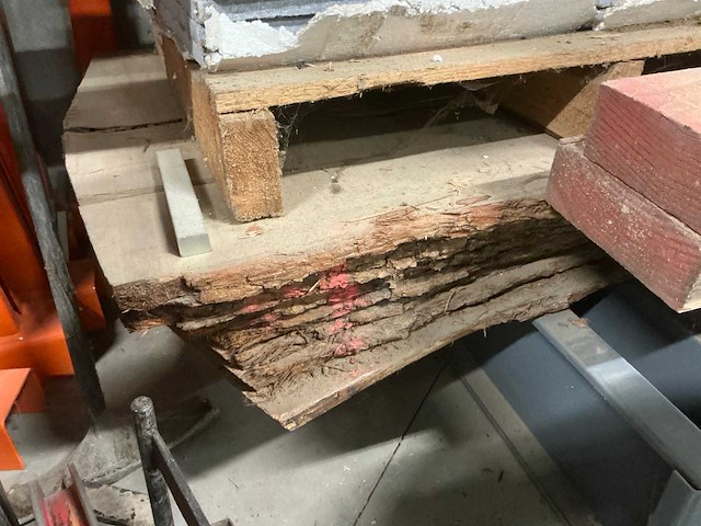 Verzaagde eiken boomstambladen (7x) - afbeelding 2 van  3
