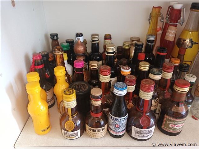 Verzamel drankflesjes leeg. 60 stuks - afbeelding 2 van  6