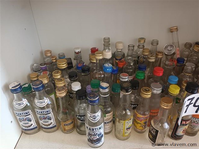 Verzamel drankflesjes leeg. 95 stuks - afbeelding 2 van  3