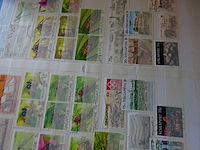 Verzameling azie - afbeelding 2 van  5