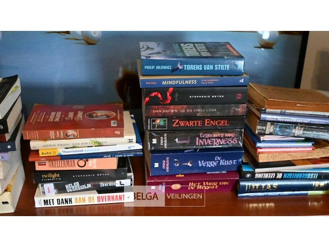 Verzameling boeken - afbeelding 6 van  7