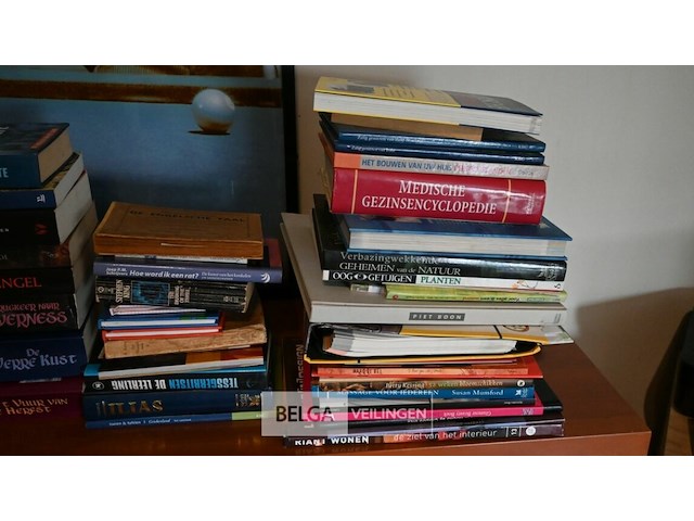 Verzameling boeken - afbeelding 7 van  7