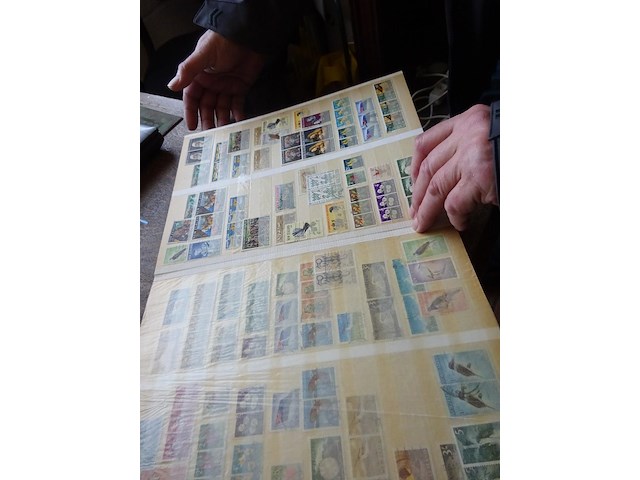 Verzameling oceanie - afbeelding 6 van  7